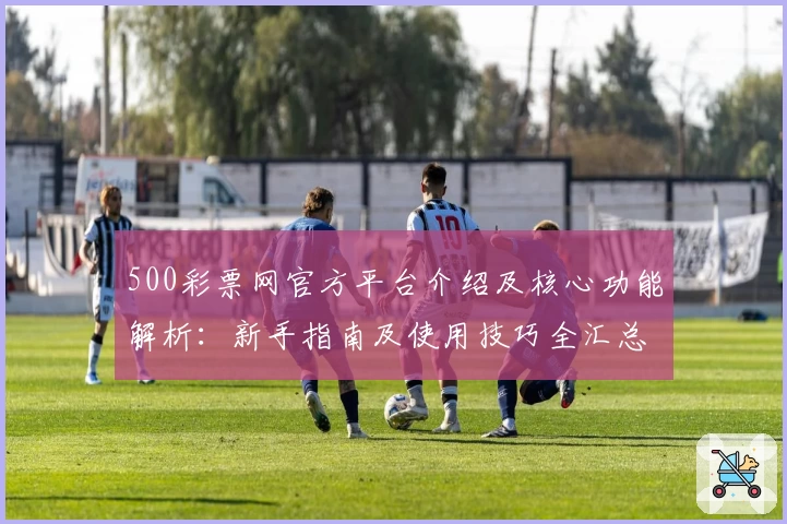 500彩票网官方平台介绍及核心功能解析：新手指南及使用技巧全汇总